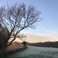  winter morning view from the breakfast room 